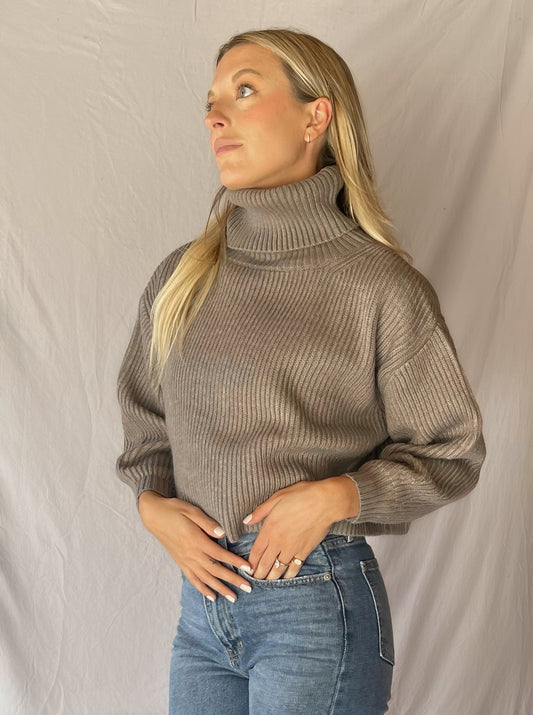 Taylor Chunky Turtleneck Sweater